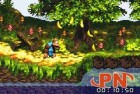 Screenshots de Donkey Kong Country 3 sur GBA