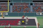 Screenshots de Madden NFL 2004 sur GBA