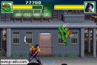 Screenshots de Teenage Mutant Ninja Turtles sur GBA