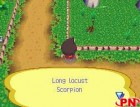 Screenshots de Animal Crossing Wild World sur NDS