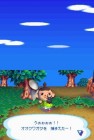 Screenshots de Animal Crossing Wild World sur NDS
