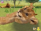 Screenshots de Animal Paradise Wild sur NDS