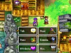 Screenshots de Dragon Quest V : la fiancée Céleste sur NDS