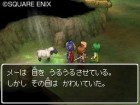 Logo de Dragon Quest IX : Les Sentinelles du Firmament sur NDS