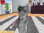 Screenshots de Dream Cat Life sur NDS