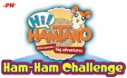 Logo de Hamtaro : Ham Ham Challenge sur NDS