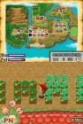 Screenshots de Harvest Moon : l'Ile Sereine sur NDS