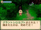 Screenshots de Harvest Moon : Twin Villages sur NDS