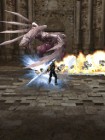 Screenshots de Ninja Gaiden Dragon Sword sur NDS