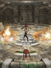 Screenshots de Ninja Gaiden Dragon Sword sur NDS