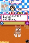 Screenshots de Pet shop story DS sur NDS