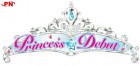 Logo de Princess Debut sur NDS