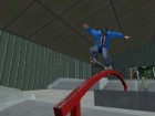 Screenshots de Skate it sur NDS