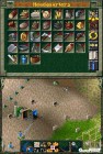 Screenshots de The Settlers sur NDS