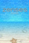 Screenshots de Zenses Ocean sur NDS