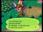 Screenshots de Animal Crossing sur NGC