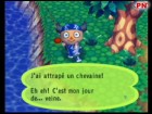 Screenshots de Animal Crossing sur NGC