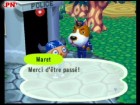 Screenshots de Animal Crossing sur NGC