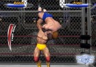 Screenshots de Legends of Wrestling 2 sur NGC