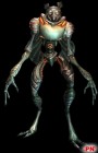 Artworks de Metroid Prime 2 : Echoes sur NGC
