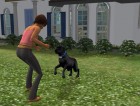 Screenshots de Les Sims 2 Animaux & Cie sur NGC