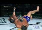 Screenshots de UFC Throwdown sur NGC