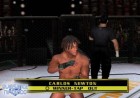 Screenshots de UFC Throwdown sur NGC