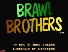Screenshots de Brawl Brothers sur Wii