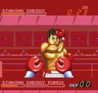 Screenshots de Digital Champ Battle Boxing  sur Wii