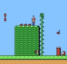 Screenshots de Super Mario Bros 2 sur Wii