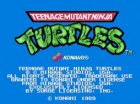 Screenshots de Teenage Mutant Ninja Turtles sur Wii