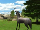 Screenshots de Alexandra Ledermann - La Colline aux chevaux Sauvages sur Wii