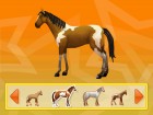 Screenshots de Alexandra Ledermann - La Colline aux chevaux Sauvages sur Wii