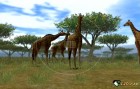 Screenshots de Animal Kingdom : Wildlife Expedition sur Wii