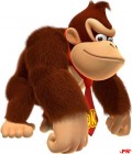 Logo de Donkey Kong Country Returns sur Wii