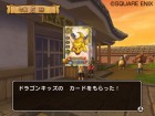 Screenshots de Dragon Quest Monsters Battle Road Victory sur Wii