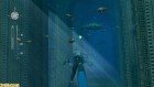Screenshots de Endless Ocean 2 : Aventuriers des Fonds Marins sur Wii