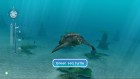 Screenshots de Endless Ocean 2 : Aventuriers des Fonds Marins sur Wii