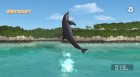 Screenshots de Endless Ocean sur Wii