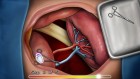 Screenshots de Grey's Anatomy : The Video Game sur Wii