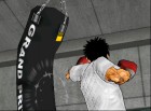 Logo de Victorious Boxers Challenge sur Wii