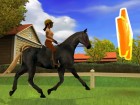 Screenshots de Mon Cheval et moi 2 sur Wii