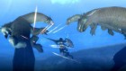 Screenshots de Monster Hunter 3 sur Wii