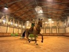 Screenshots de Mon cheval et moi sur Wii