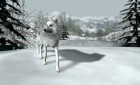 Screenshots de Nancy Drew : The White Wolf of Icicle Creek sur Wii