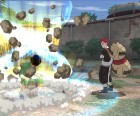 Screenshots de Naruto Clash of Ninja Revolution sur Wii