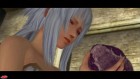 Screenshots de Pandora's Tower sur Wii