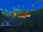 Screenshots de Rapala : We Fish sur Wii