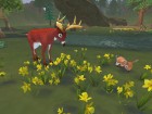 Screenshots de SimAnimals sur Wii