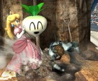 Screenshots de Super Smash Bros. Brawl sur Wii